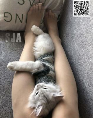 毒液2完整免费观看高清