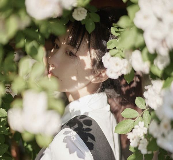 花与蛇在线观看